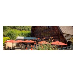 Terlato Vineyards