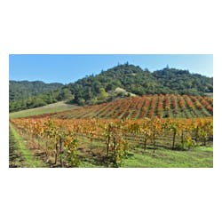 Storybook Mountain Vineyards