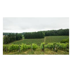 Domaine De La Noblaie
