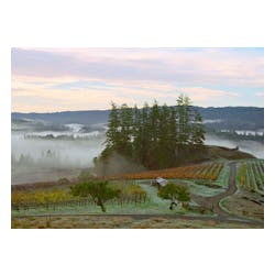 Peay Vineyards