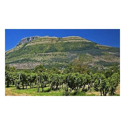 Montevetrano