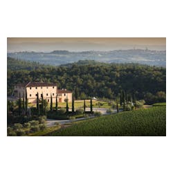 Tolaini Winery