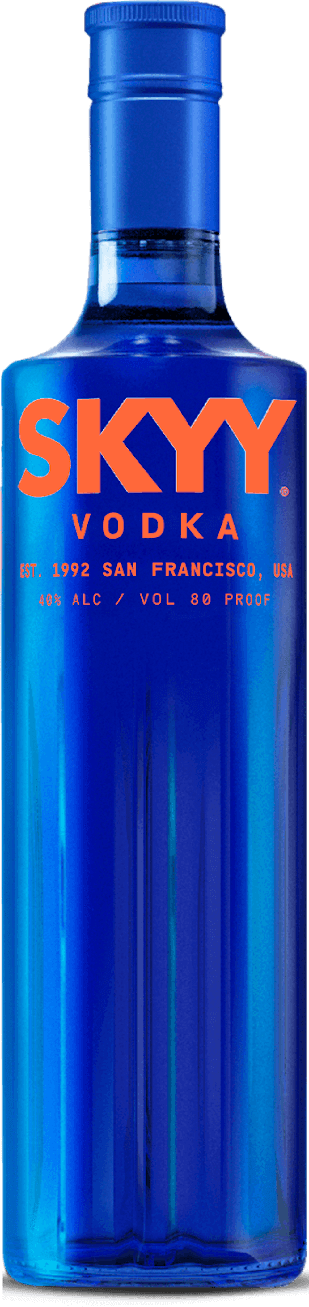 【非売品】SKYY VODKA ネオン Skyy Vodka Neon Sign – Neon Factory