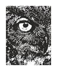 Stolpman Vineyards 'Para Maria' Red Blend 2016