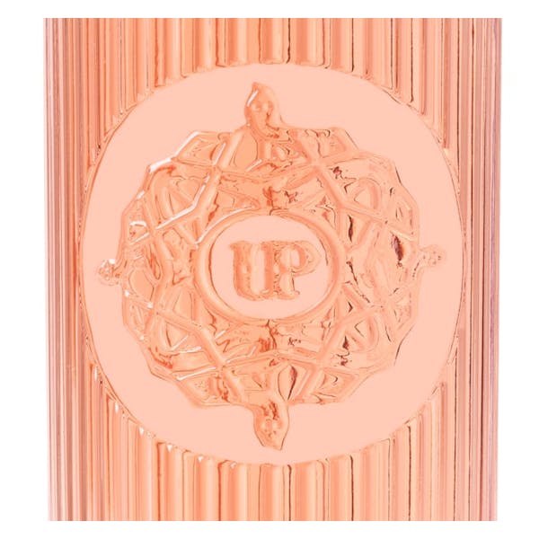 Chateau de Berne 'Ultimate Provence' Rose 2021