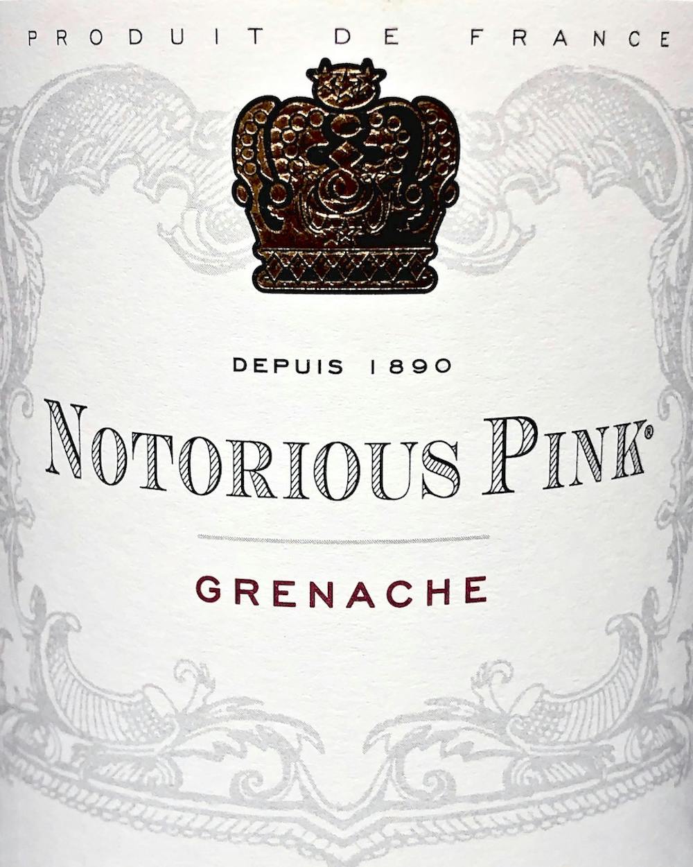 Notorious Pink Rose 2023 Rose