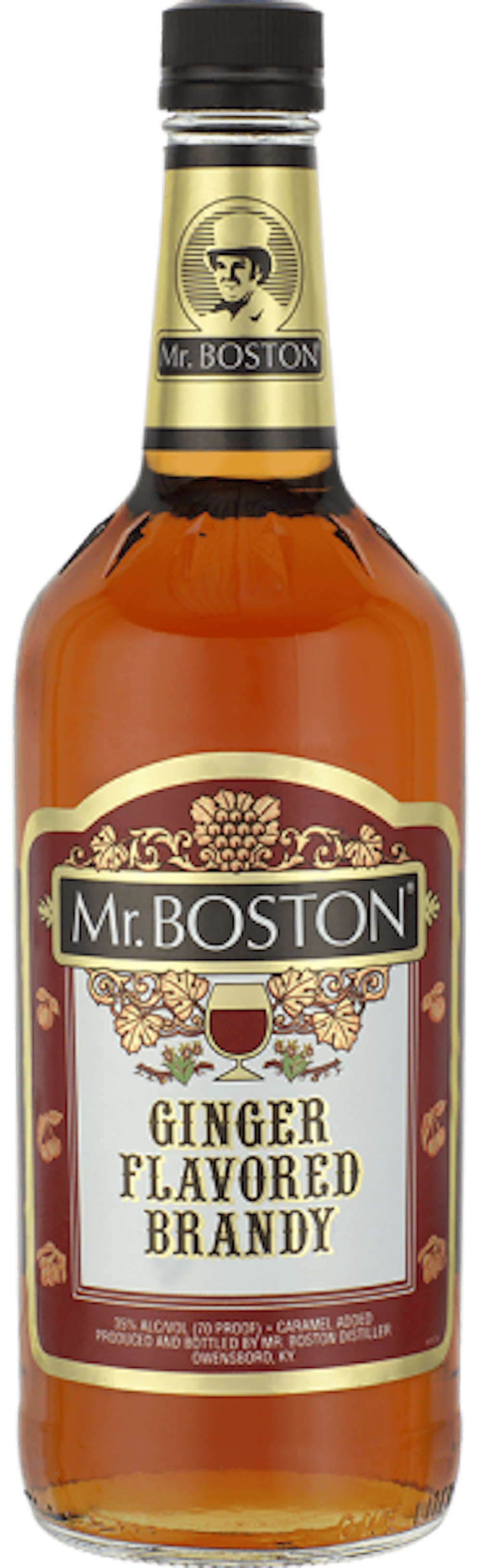 Mr. Boston Ginger Brandy 1.0L :: Brandy & Grappa