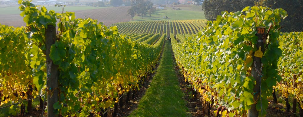 Empire Wine & Liquor The Tasteful Way To Save